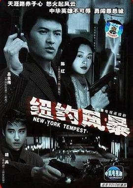 纽约风暴第09集