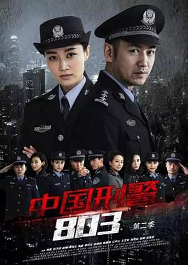 中国刑警803英雄本色第38集