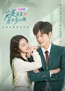 完美先生和差不多小姐速看版HD中字(大结局)