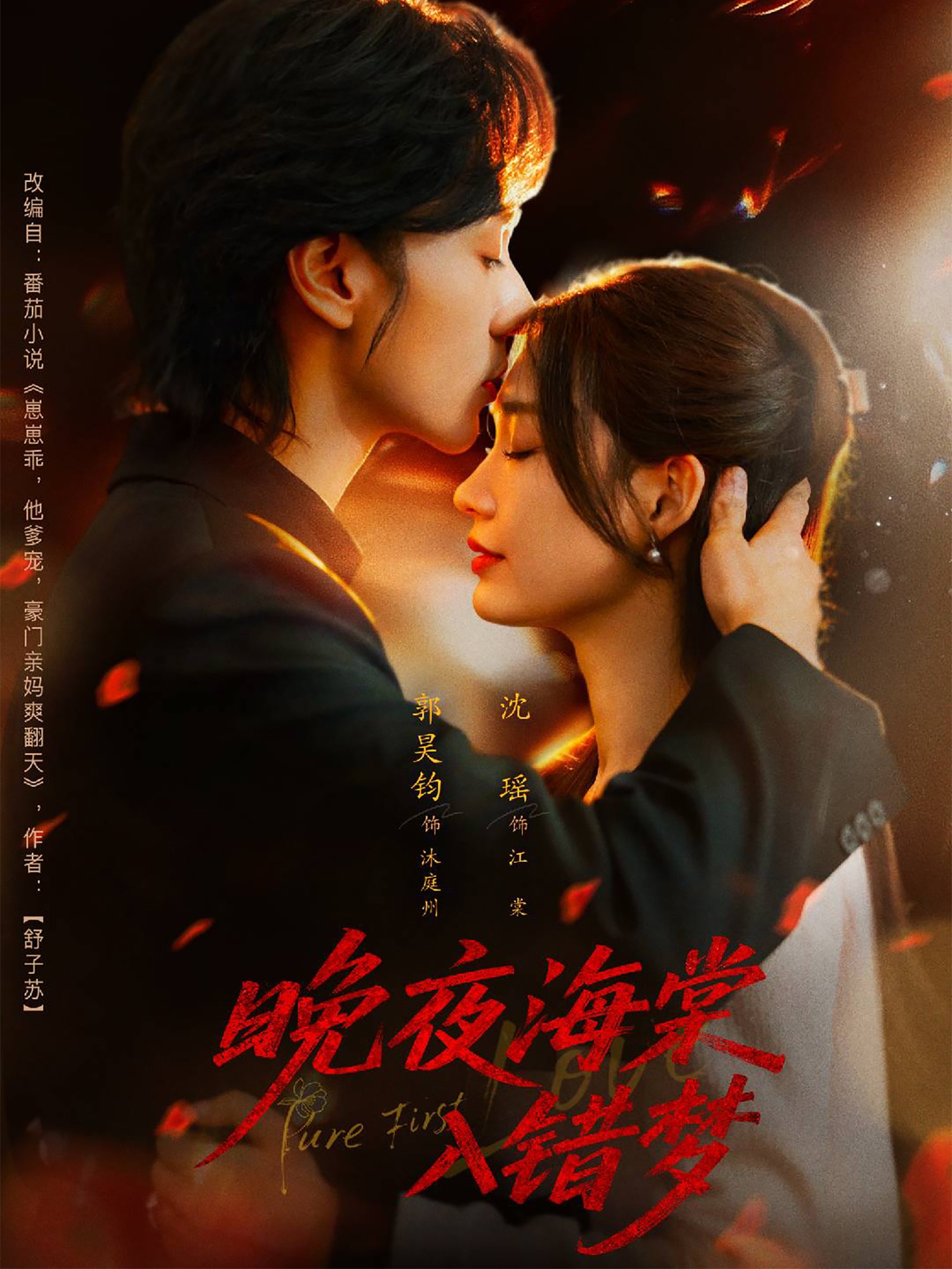 晚夜海棠入错梦第13集