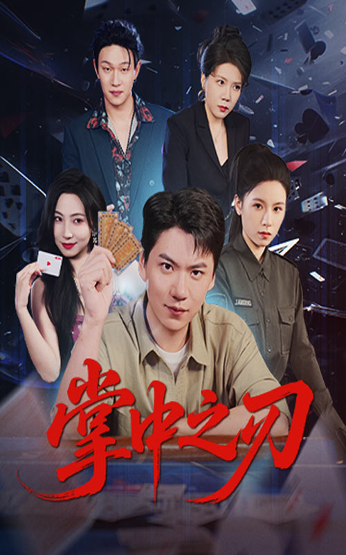 掌中之刃第08集