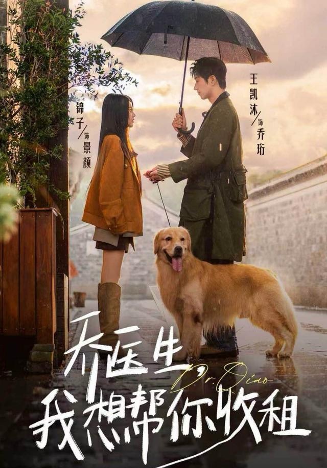 乔医生，我想帮你收租(全集)