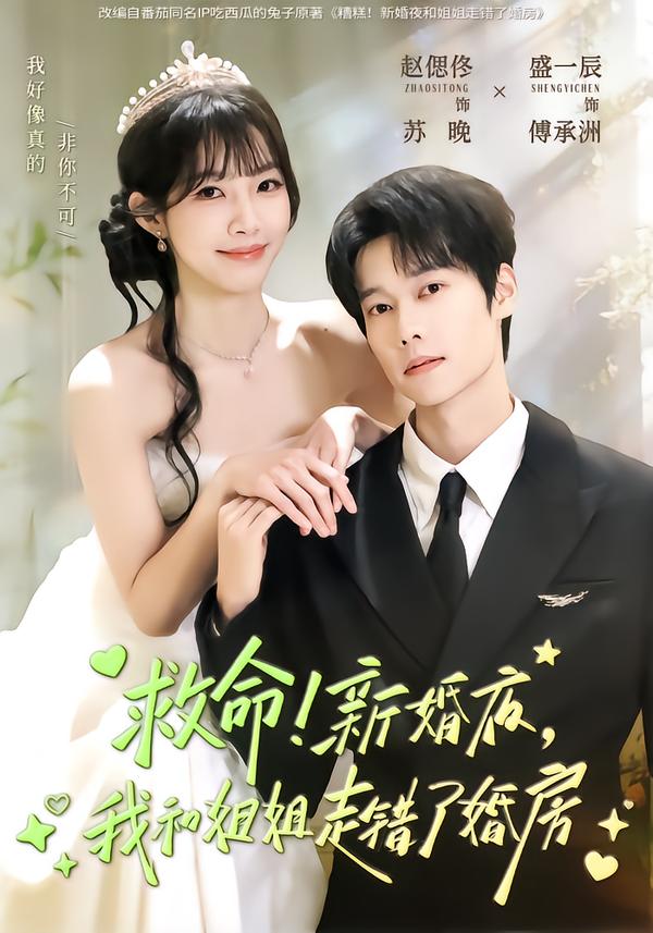 救命！新婚夜，我和姐姐走错了婚房第09集