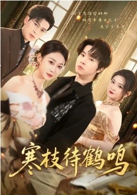 寒枝待鹤鸣(全集)